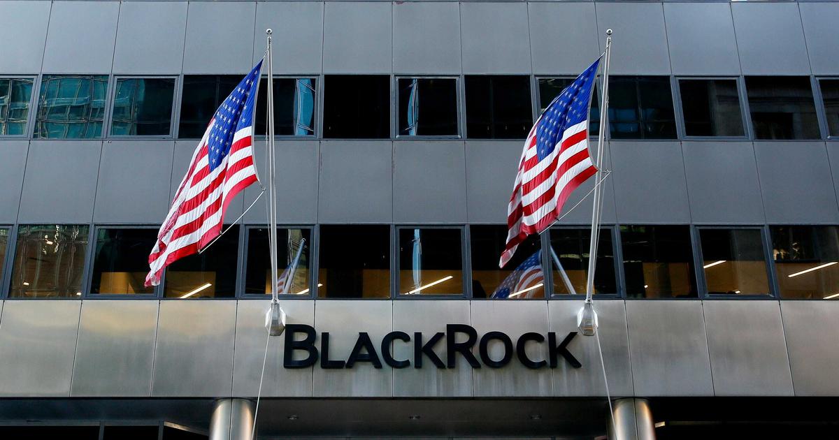 BlackRock, Worldcoin, Ripple: Bitcoin Bull Mike Novogratz Dishes on Crypto