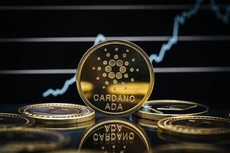 Cardano Transaction Spike